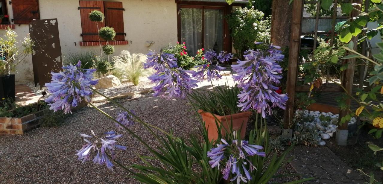 L'Orme Seul, Maison D'Hotes Vineuil  Dış mekan fotoğraf