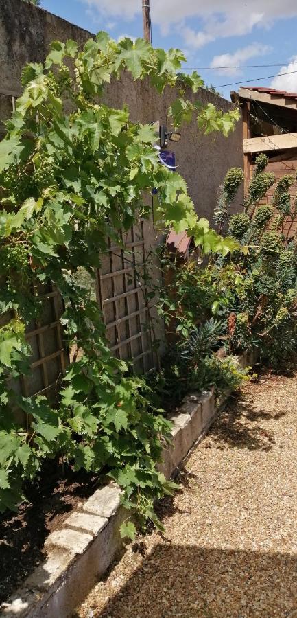 L'Orme Seul, Maison D'Hotes Vineuil  Dış mekan fotoğraf