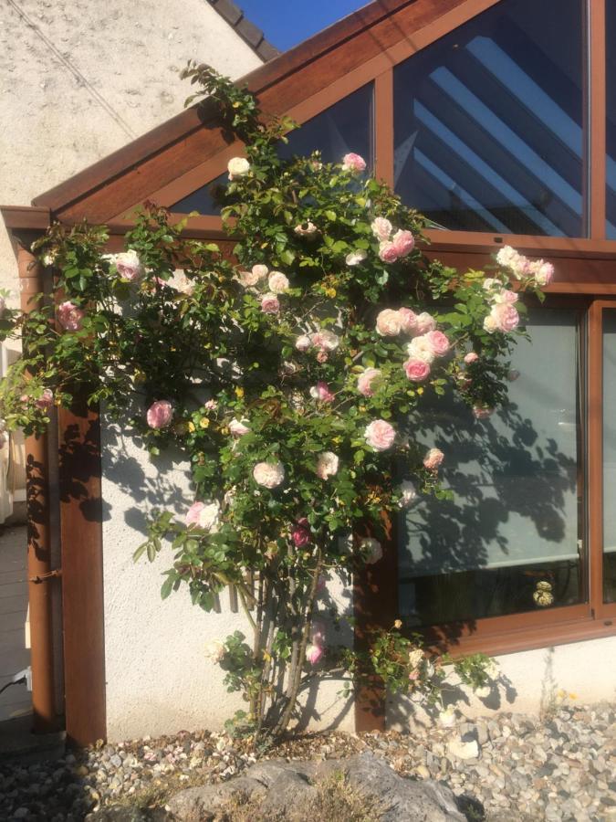 L'Orme Seul, Maison D'Hotes Vineuil  Dış mekan fotoğraf